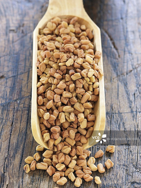 一勺胡芦巴图片素材