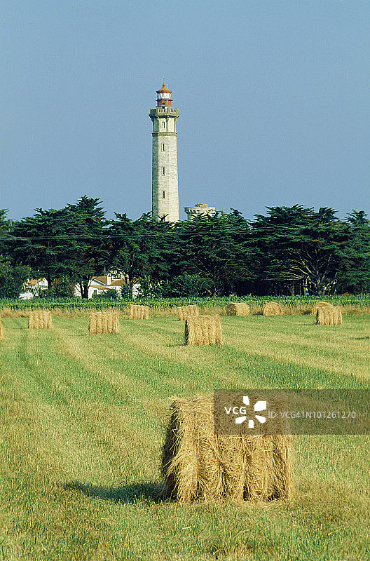 法国滨海夏朗德省的灯塔农田图片素材