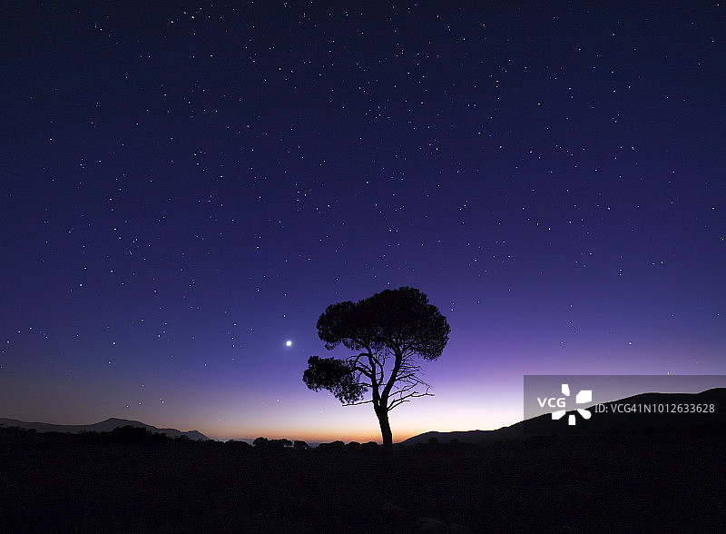 西班牙巴伦西亚群落满月暮光孤树平原夜景图片素材