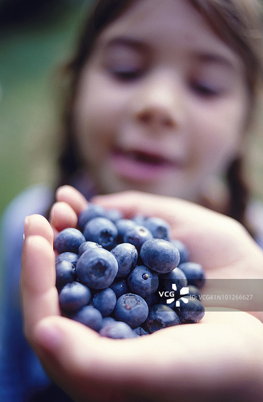 手持蓝莓图片素材