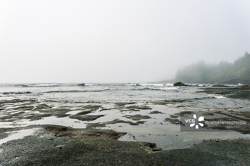 植物园海滩省立公园的雾天图片素材