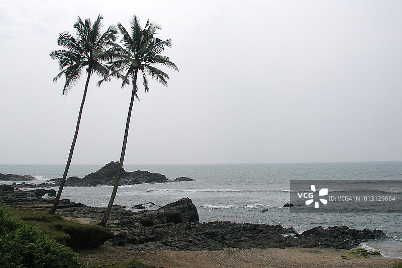 雨季的椰子树，印度果阿邦安朱纳海滩的热带风光图片素材