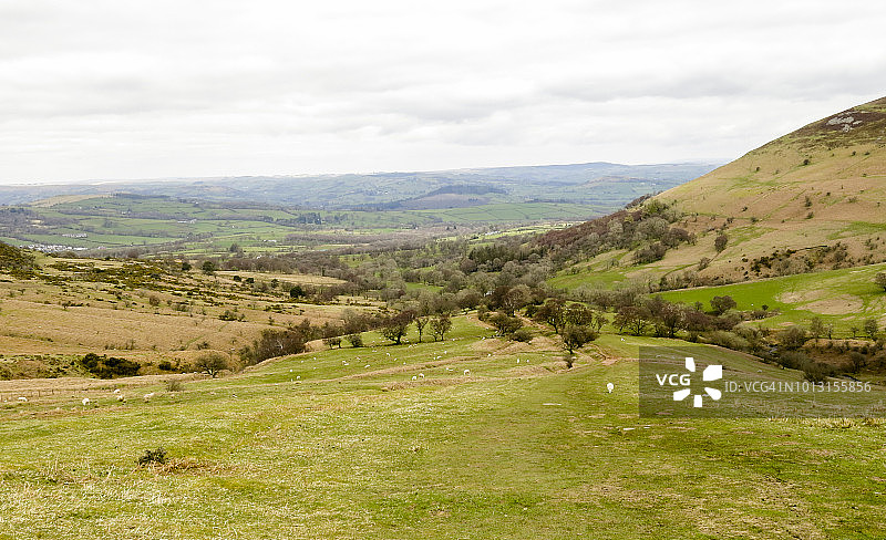 从彭尼范山坡俯瞰厄斯克山谷和绵羊，英国威尔士布雷肯比肯斯图片素材