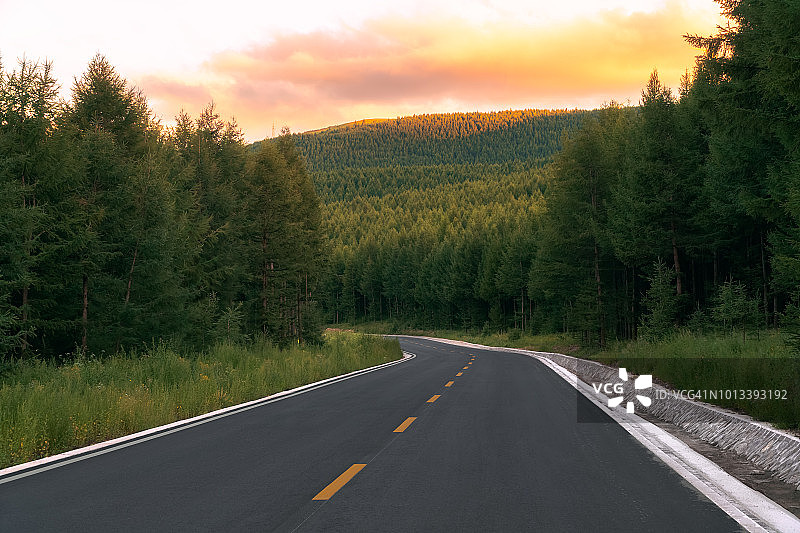 日落时分的森林公路图片素材