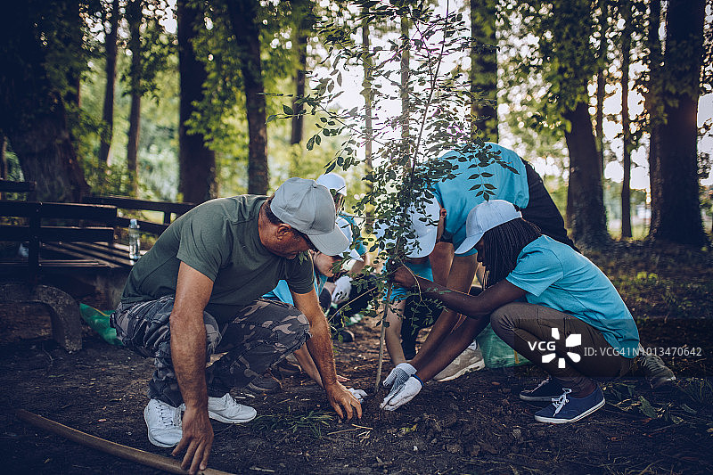 人们在植树图片素材