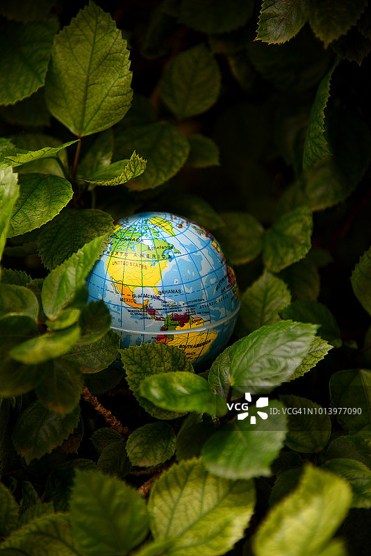 绿色树叶背景中的地球——世界环境日图片素材