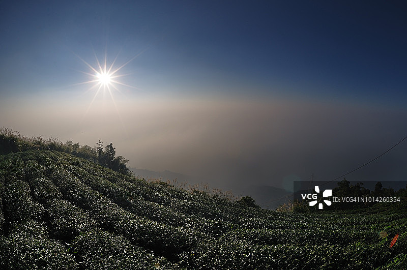耀眼太阳下的日落图片素材