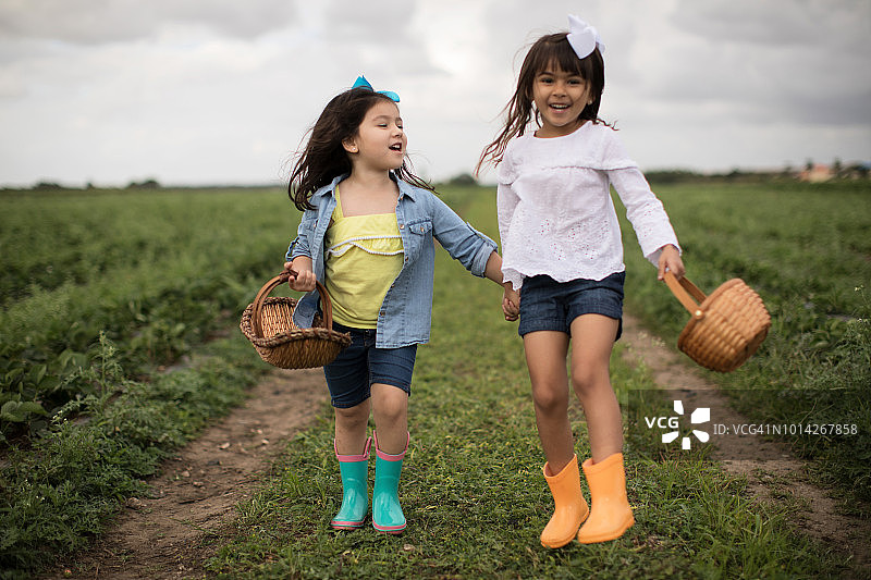 小女孩们采摘蔬菜图片素材