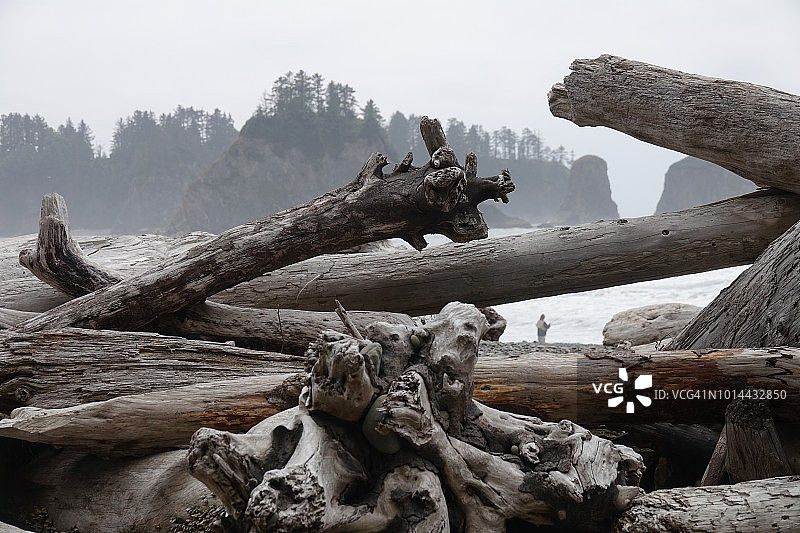 Rialto海滩上的渔夫和树木图片素材