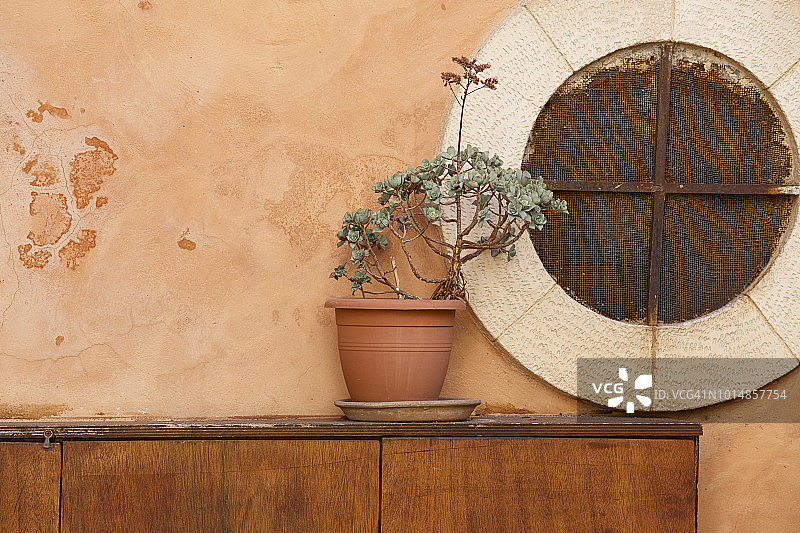 盆栽植物和窗户，干尼亚天主教堂图片素材