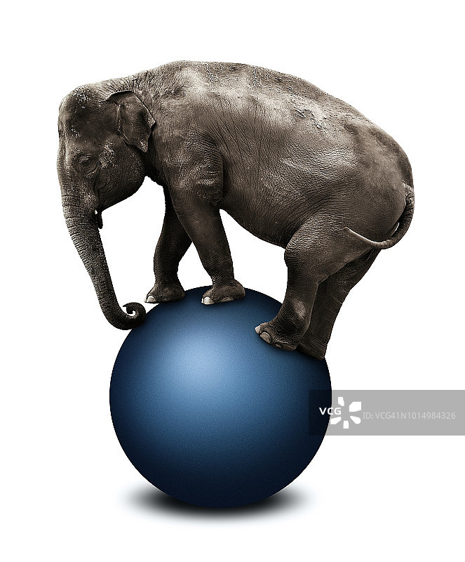 大象站在健身球上图片素材
