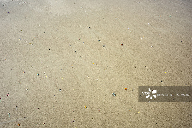 贝壳和沙子图片素材