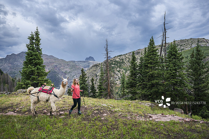 在落基山脉与美洲驼合影的女孩图片素材
