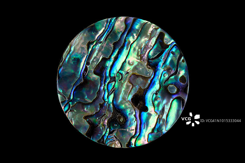 彩色鲍鱼壳图片素材