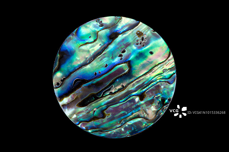 彩色鲍鱼壳图片素材