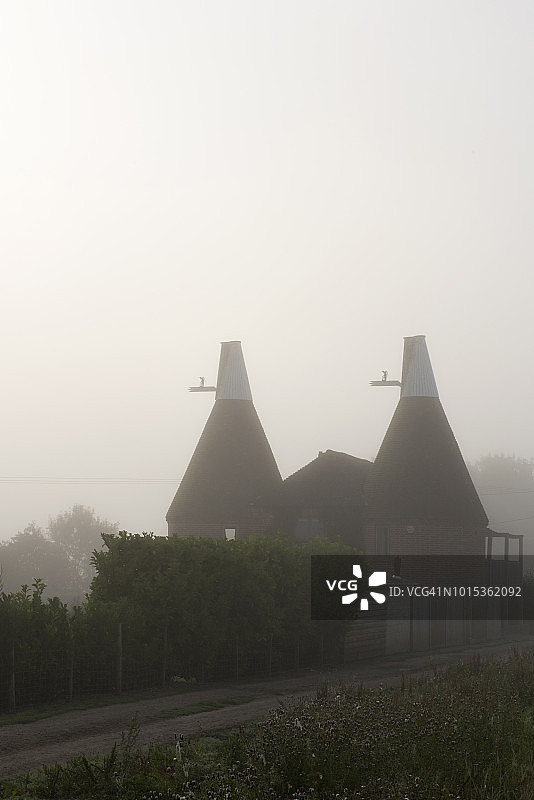 英格兰东萨塞克斯乡村的经典啤酒花烘房图片素材