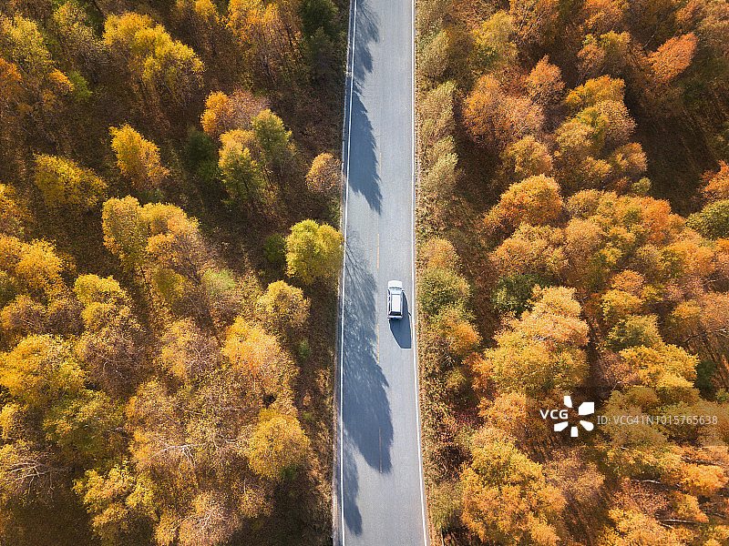穿过秋季森林的道路图片素材