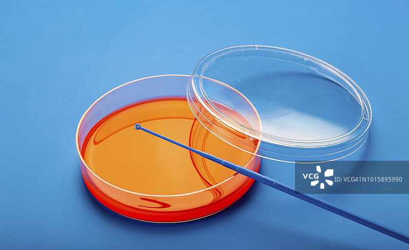 含血琼脂的培养皿图片素材
