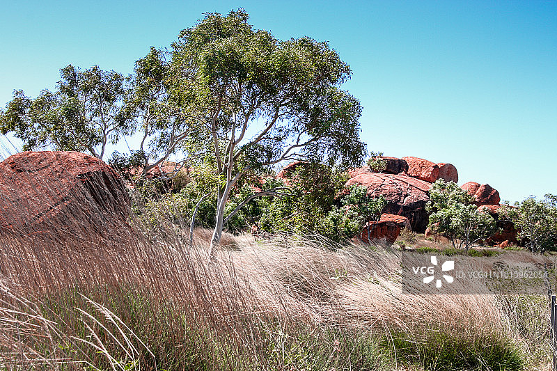 魔鬼大理石，在坦南特克里克附近发现的自然现象图片素材