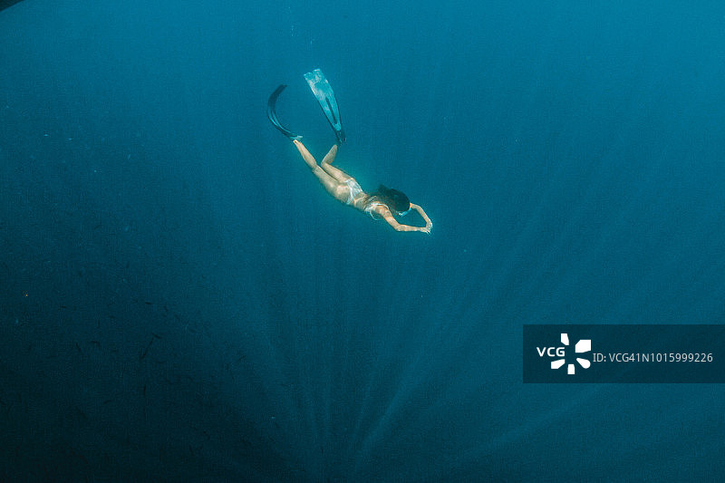 自由潜水图片素材
