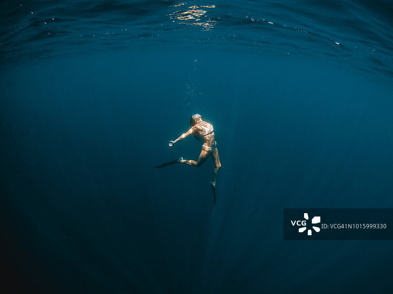 自由潜水图片素材
