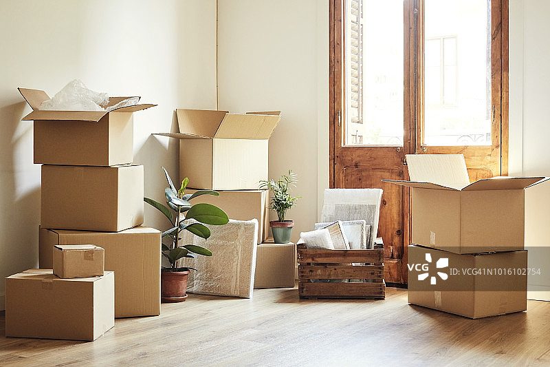 新公寓里的搬家纸箱和盆栽植物图片素材