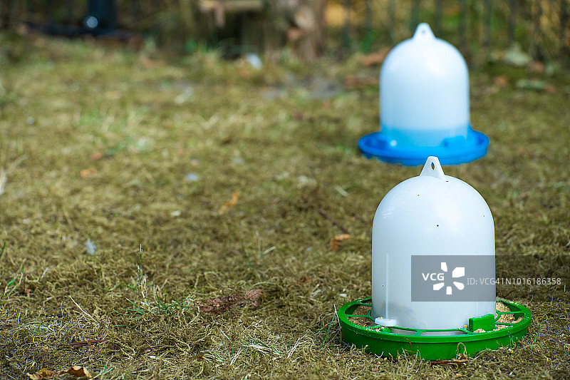 鸡食用水碗图片素材