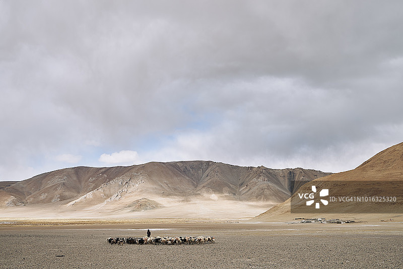 牧民和牲畜，唐拉云措，尼玛，西藏，中国图片素材