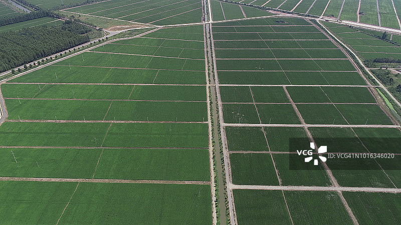 中国安徽省安庆市绿色稻田与走道美丽航拍景色图片素材