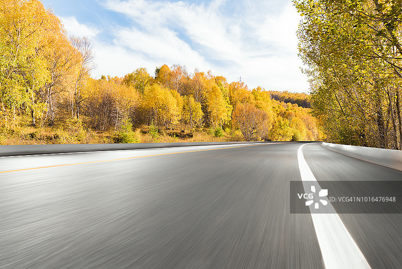 秋树林荫路图片素材