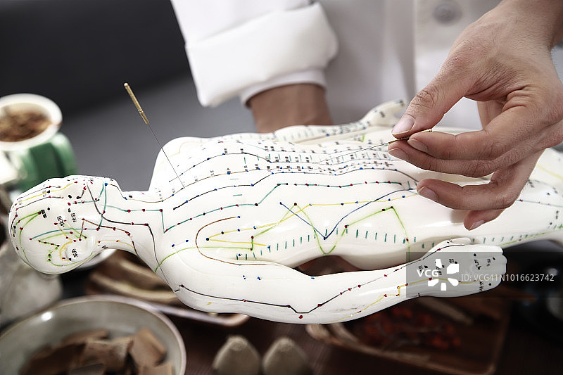 医生在针灸模型上施针特写图片素材