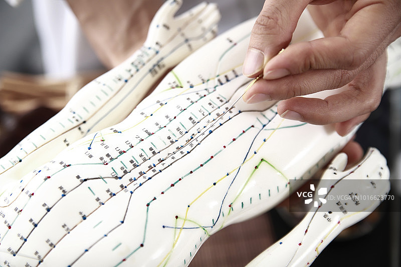 针灸师在针灸模型上施针图片素材