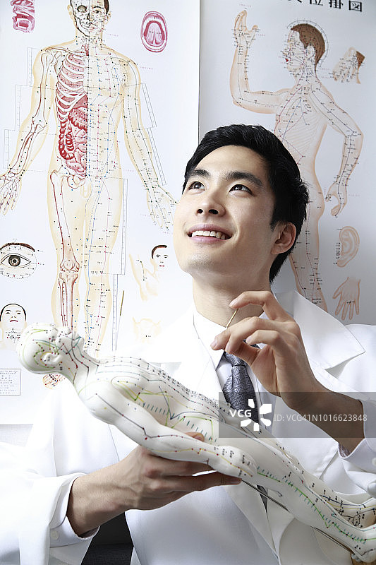 针灸师在针灸模型上施针图片素材