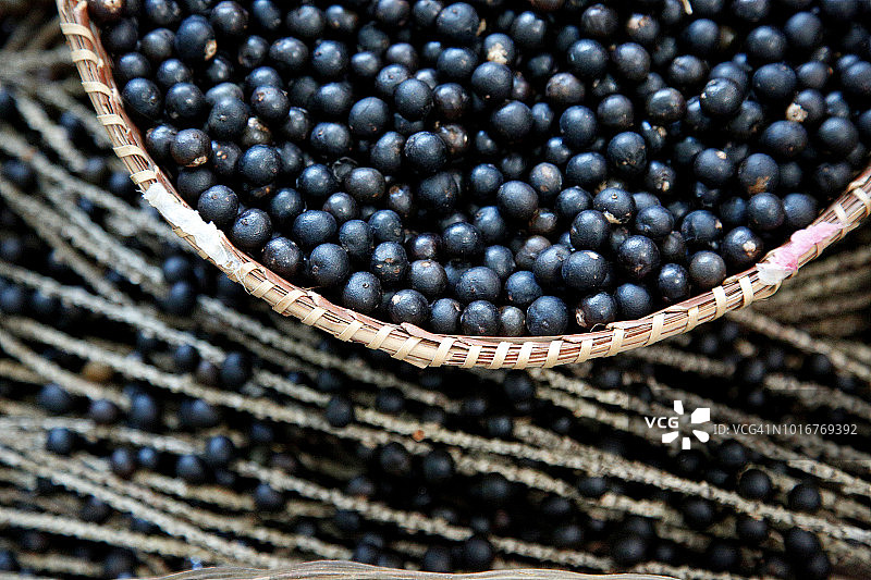 巴西亚马逊地区的阿萨伊果篮图片素材