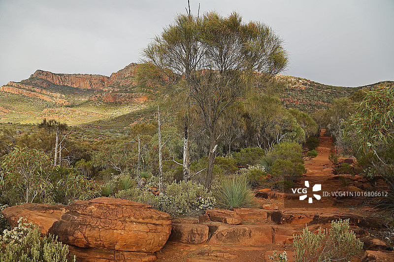 弗林德斯山脉的阿卡鲁步道图片素材