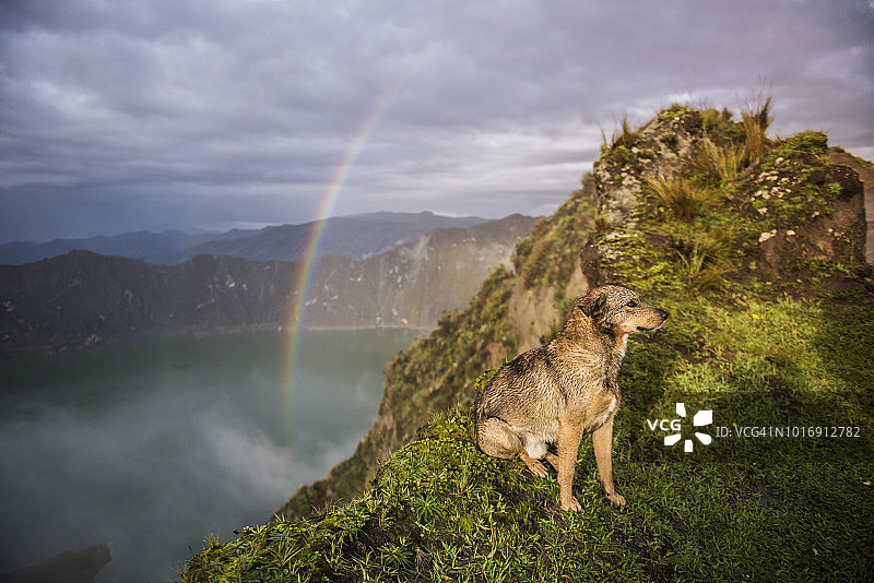 基洛托阿火山火山口湖和狗图片素材