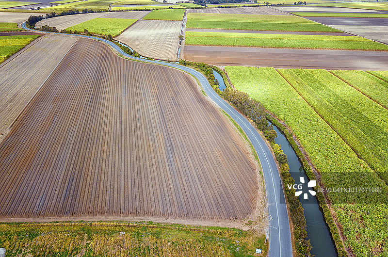 甘蔗田的航拍视角图片素材
