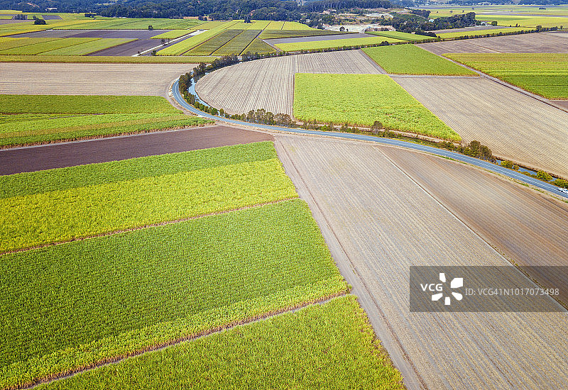 甘蔗田的航拍视角图片素材