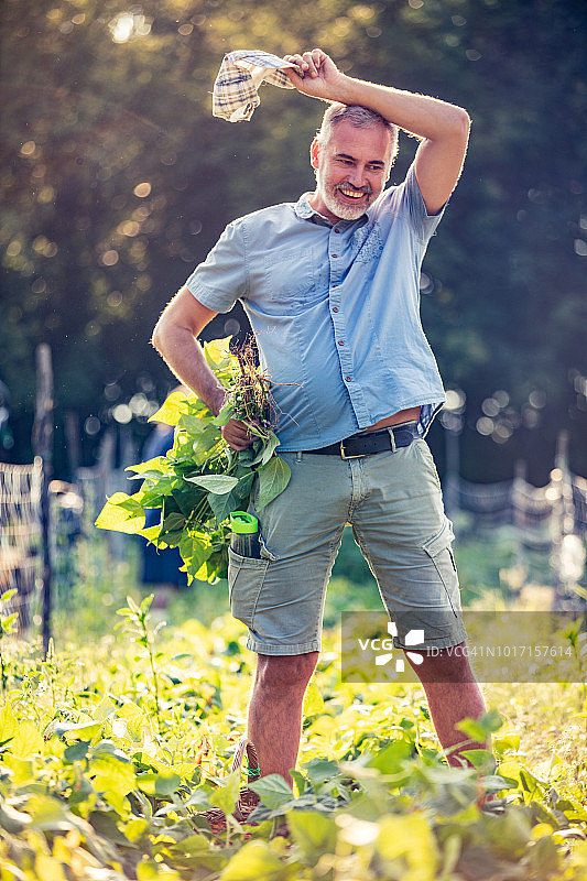 在菜园里擦额头汗水的微笑成熟男人图片素材