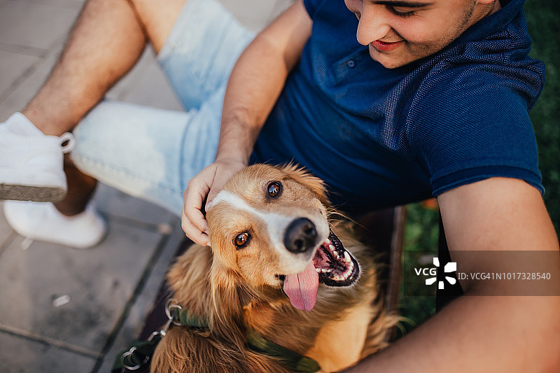 盖和他的狗，金毛猎犬，自然图片素材