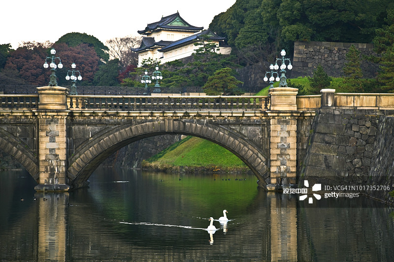 东京皇居护城河畔的二重桥与白天鹅图片素材