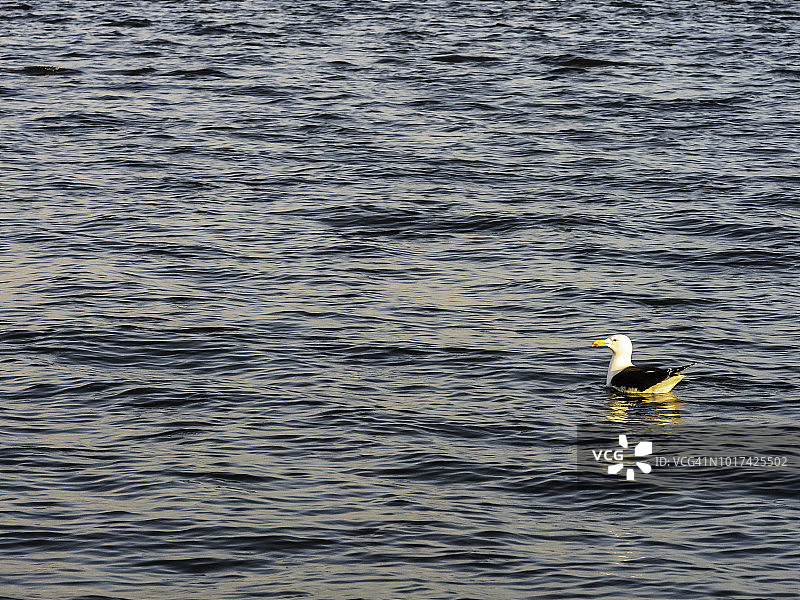 欣科蒂格岛图片素材