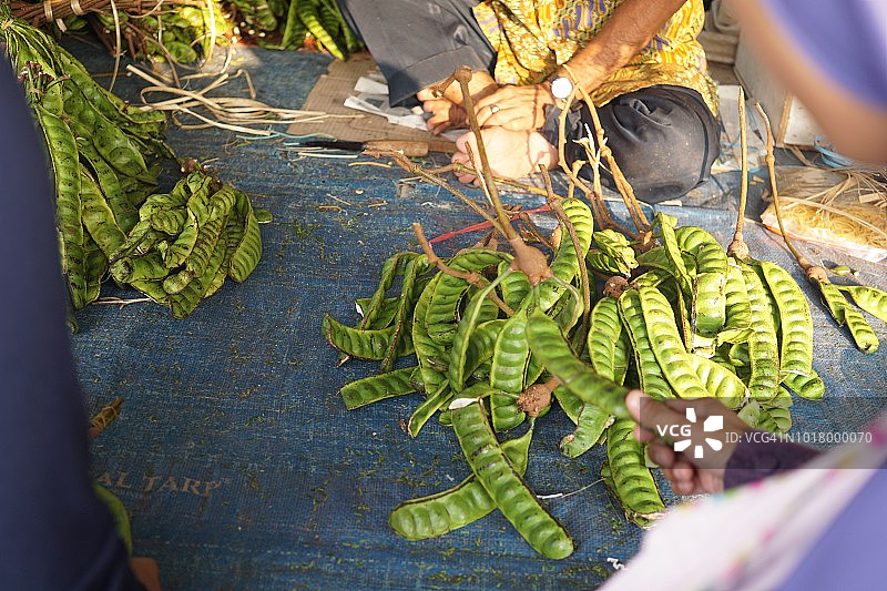 硕大的绿色臭豆豆荚图片素材