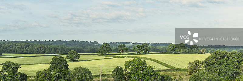 西萨塞克斯郡巴尔科姆的田野图片素材