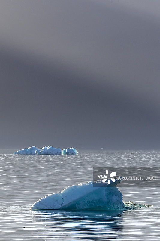 恩迪科特峡湾的小冰山图片素材