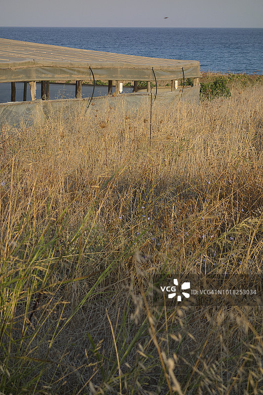 希腊，2018：用合成薄膜和木框架搭建的自制塑料温室图片素材