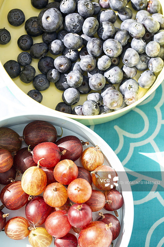 红色醋栗和蓝莓图片素材