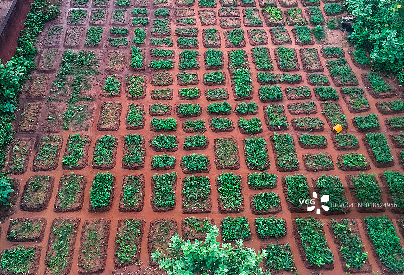 蔬菜沙拉田图片素材
