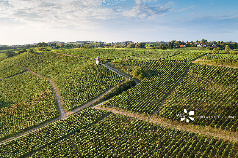 德国康斯坦茨湖梅尔斯堡葡萄园图片素材