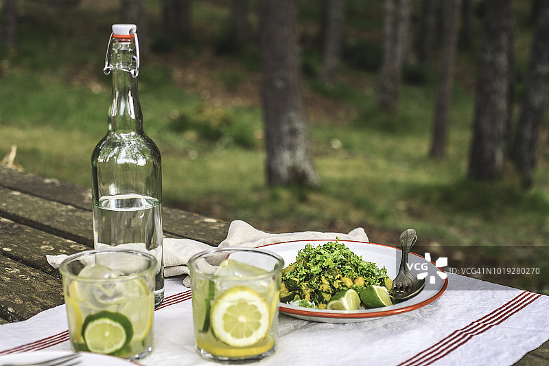 森林中的羽衣甘蓝和西葫芦咖喱细节2图片素材